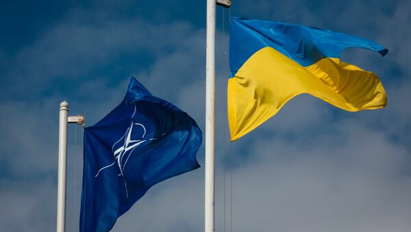 Флаги Украины и НАТО - Sputnik Литва