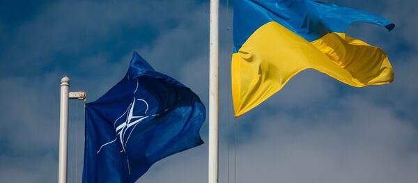 Флаг Украины и НАТО Флаг Украины и НАТО - Sputnik Lietuva