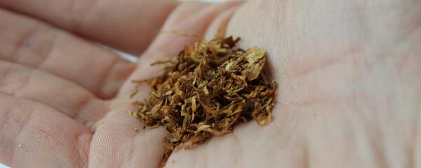 Табак на руке - Sputnik Литва