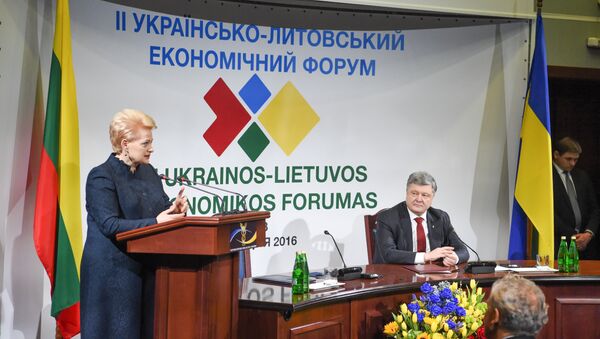 Украинско-литовский экономический форум - Sputnik Литва