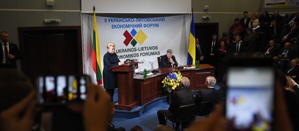 Украинско-литовский экономический форум - Sputnik Литва
