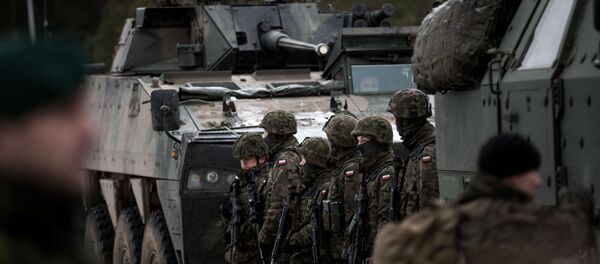 Учения НАТО Железный волк 2016, архивное фото - Sputnik Литва