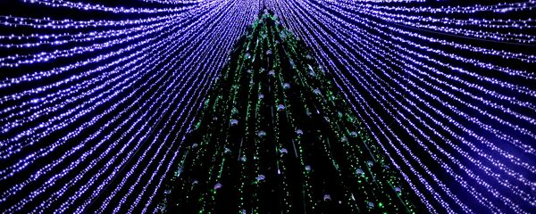 Главная елка на Кафедральной площади Главная елка на Кафедральной площади - Sputnik Lietuva