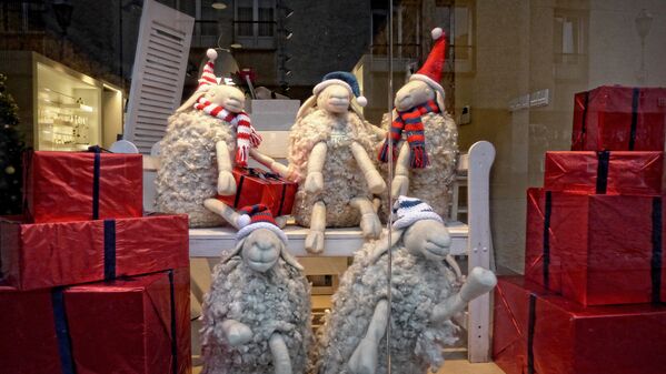 Овцы в колпаках Санта-Клауса в магазине пряжи - Sputnik Lietuva