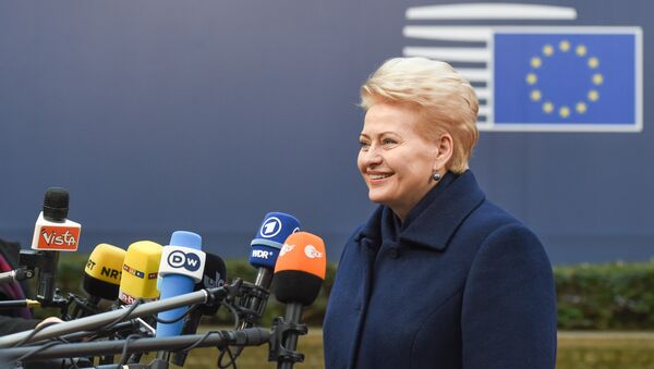 Президент Литвы Даля Грибаускайте дает интервью - Sputnik Lietuva