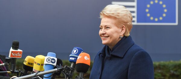 Президент Литвы Даля Грибаускайте дает интервью Президент Литвы Даля Грибаускайте дает интервью - Sputnik Lietuva