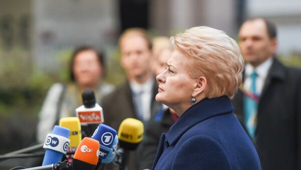 Президент Литвы Даля Грибаускайте дает интервью - Sputnik Литва