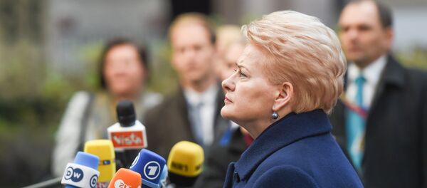 Президент Литвы Даля Грибаускайте дает интервью - Sputnik Литва