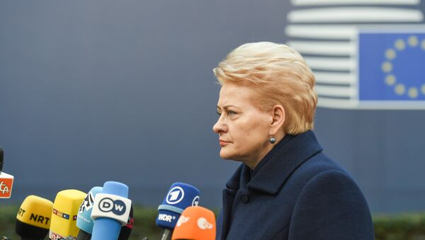 Президент Литвы Даля Грибаускайте дает интервью - Sputnik Lietuva