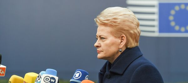 Президент Литвы Даля Грибаускайте дает интервью Президент Литвы Даля Грибаускайте дает интервью - Sputnik Lietuva
