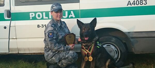 Рамзис XIX Рамзис XIX - Sputnik Литва