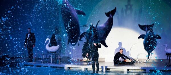 Lietuvos jūrų muziejus Lietuvos jūrų muziejus - Sputnik Lietuva