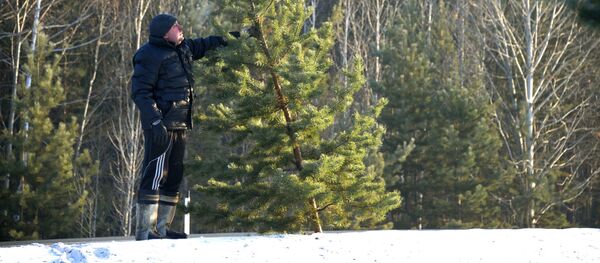 Зимние просторы - Sputnik Литва