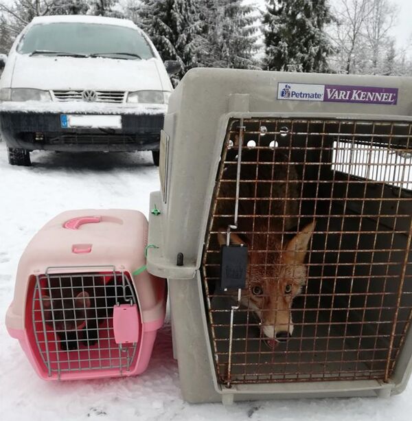 Животные зоологического сада - Sputnik Литва