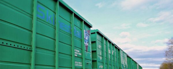 Вагон с логоготипом компании Skinest Baltija Вагон с логоготипом компании Skinest Baltija - Sputnik Lietuva