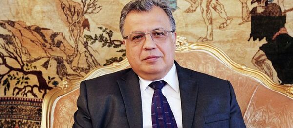 Посол России в Турции Андрей Карлов во время интервью, архивное фото - Sputnik Литва