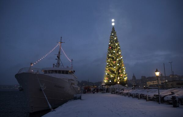 Огни большой рождественской елки Стокгольма - Sputnik Lietuva