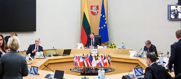 Сквернялис на заседании правительства, архивное фото - Sputnik Литва