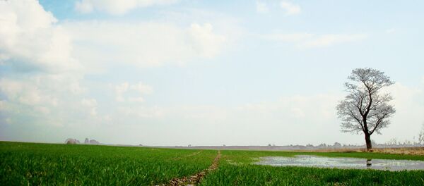 Утро на природе - Sputnik Литва