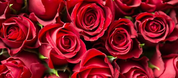 Розы - Sputnik Литва