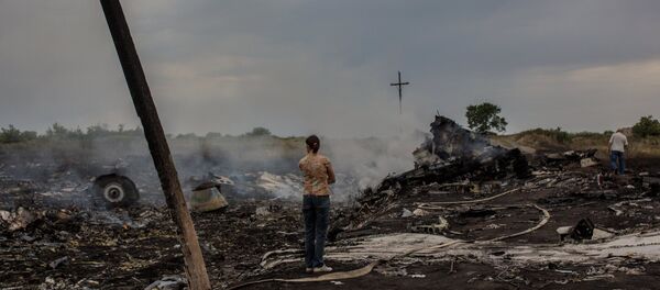 Крушение малайзийского Boeing на Украине - Sputnik Литва