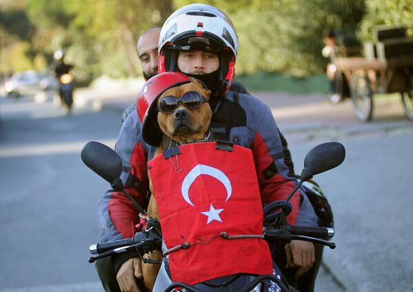 Мотоциклист и его собака - Sputnik Lietuva