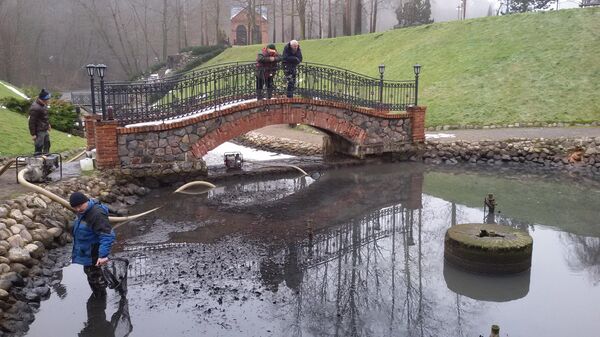 Спасение лососей в реке Вильняле - Sputnik Литва