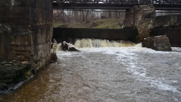 Спасение лососей в реке Вильняле - Sputnik Литва