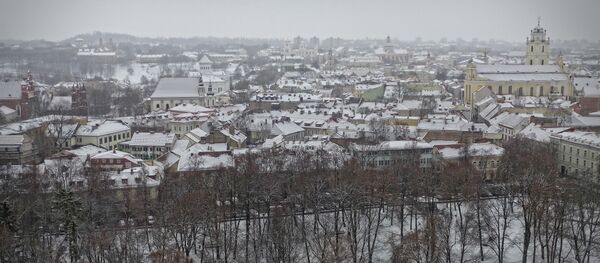 Вид сверху на Бернардинский сад - Sputnik Литва