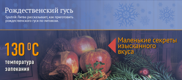 Рождественский гусь Рождественский гусь - Sputnik Литва