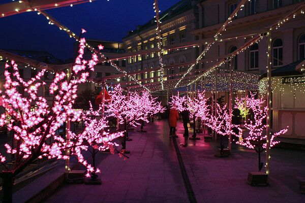 Деревья украсили розовыми огнями цветущей сакуры - Sputnik Литва