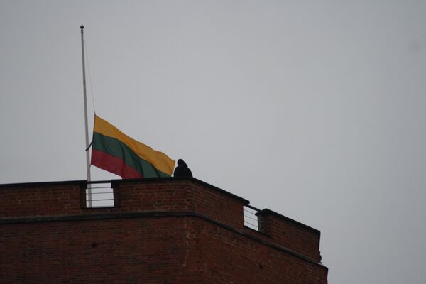 Флаг Литвы на флагштоке башни Гедиминаса - Sputnik Литва