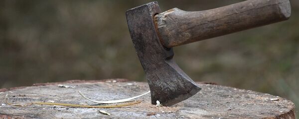 Топор, архивное фото - Sputnik Литва