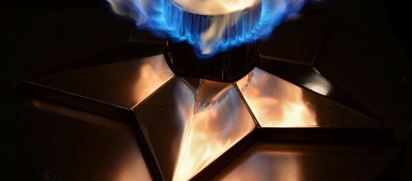 Профилактика горелки Вечного огня перед празднованием Дня защитника Отечества - Sputnik Литва