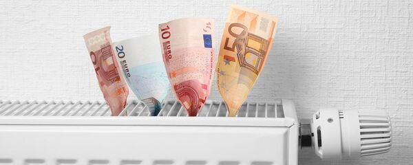 Евро и батарея Евро и батарея - Sputnik Литва