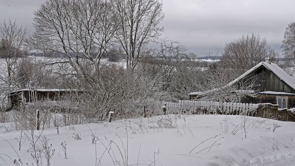 Литовская деревня в снегу - Sputnik Lietuva