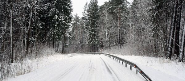 Проезд по проселочным дорогам после снегопада затруднен - Sputnik Литва