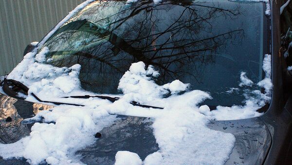 Автомобиль на стоянке в морозный день - Sputnik Lietuva