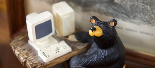 Meška prie kompiuterio Meška prie kompiuterio - Sputnik Lietuva