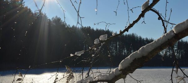 Региональный парк Вейсеяй - Sputnik Литва