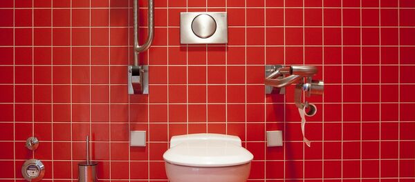 Tualetas Tualetas - Sputnik Lietuva