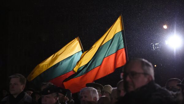 Литовский флаг под снегом ночью - Sputnik Литва