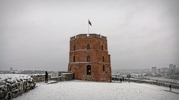 Башня Гедиминаса под снежным покровом - Sputnik Lietuva