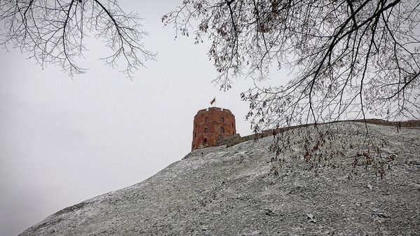 Вид на башню Гедиминаса - Sputnik Lietuva