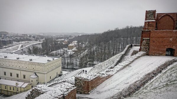 Руины замка на холме у башни Гедиминаса - Sputnik Lietuva