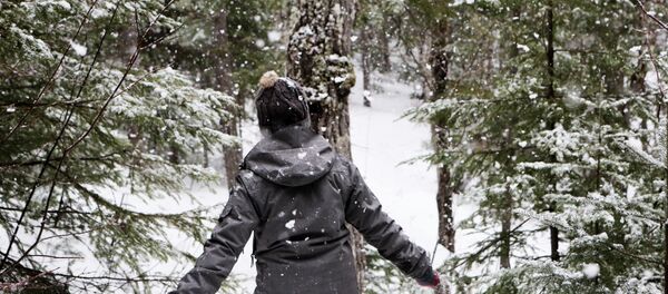В зимнем лесу - Sputnik Литва