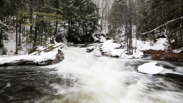 Gamta - Sputnik Lietuva