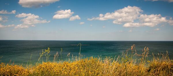 Вид на море Вид на море - Sputnik Lietuva