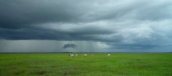 Поле Поле - Sputnik Литва