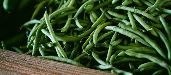 Спаржевая фасоль Спаржевая фасоль - Sputnik Lietuva
